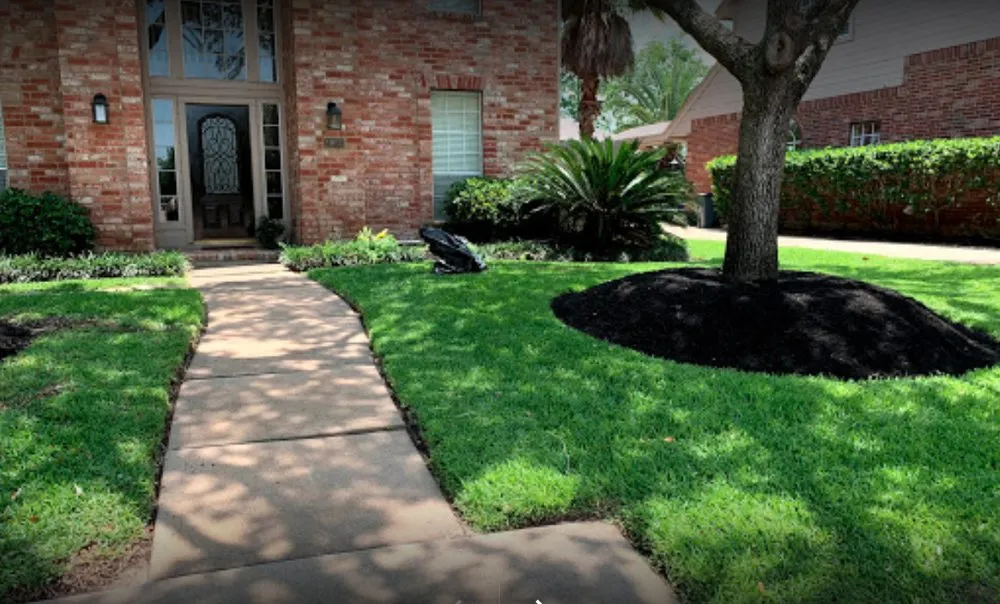 Top-rated yard maintenance experts serving Houston, TX - C.L Landscapers Of Texas