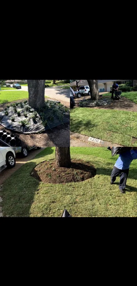 Expert landscape design in Houston, TX - C.L Landscapers Of Texas