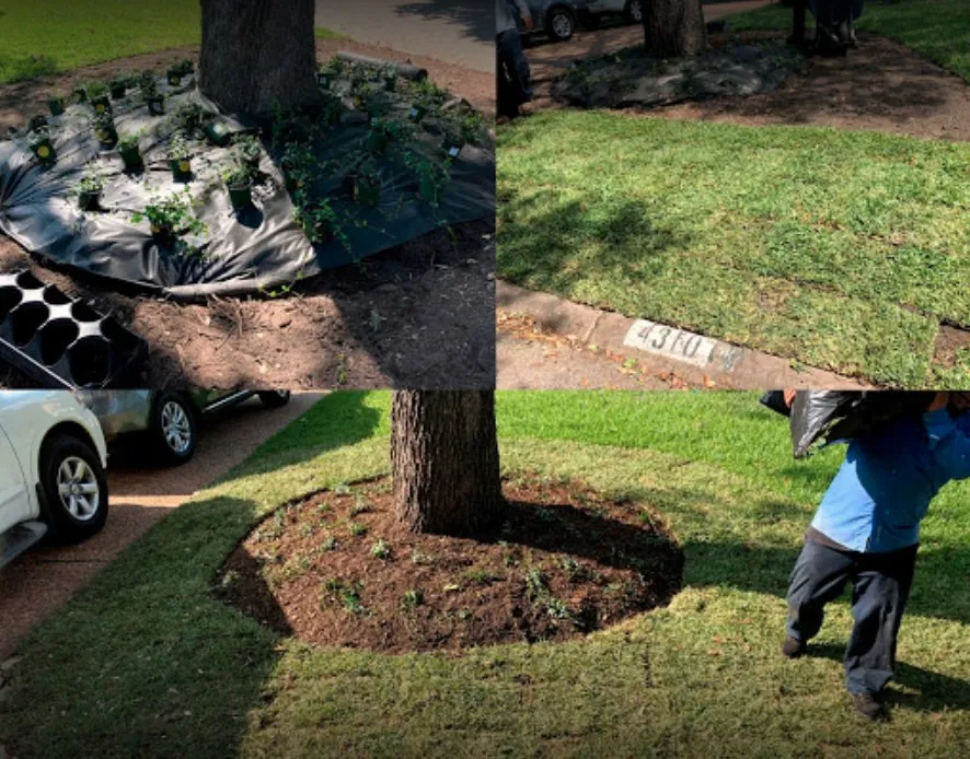 Reliable lawn care service in Houston, TX - C.L Landscapers Of Texas