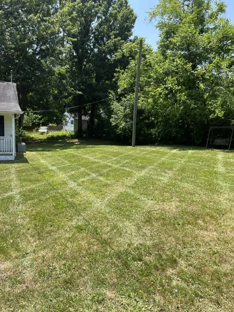 Expert yard cleanup service in Corryton, TN by C.L. Landscaping & Turf Management