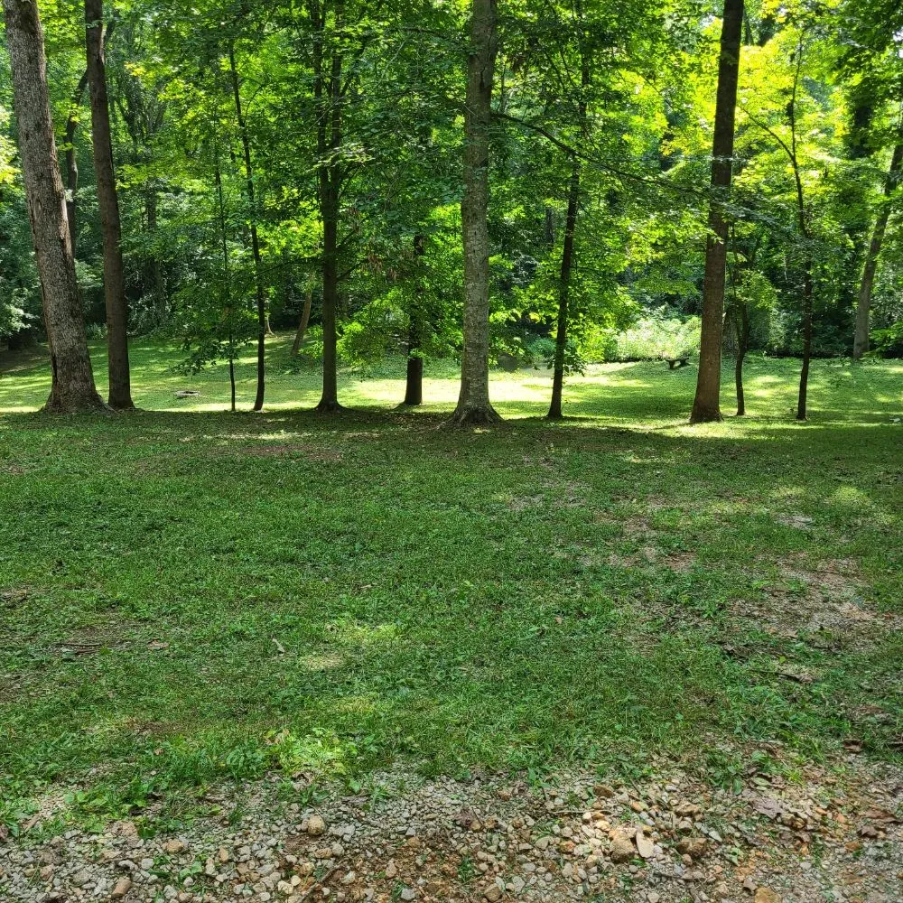 Local lawn care service in Elkmont, AL - CL Lawn and Pressure Washing Care