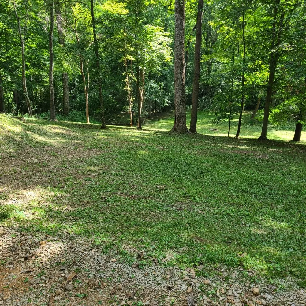 Affordable landscaping services experts serving Elkmont, AL - CL Lawn and Pressure Washing Care