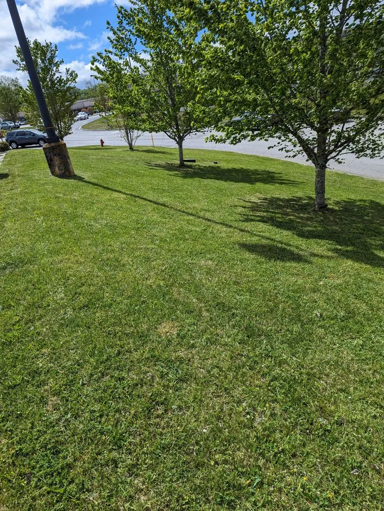 Custom yard cleanup service with custom design across Big Stone Gap, VA - C&L Lawn Care And Pressure Washing