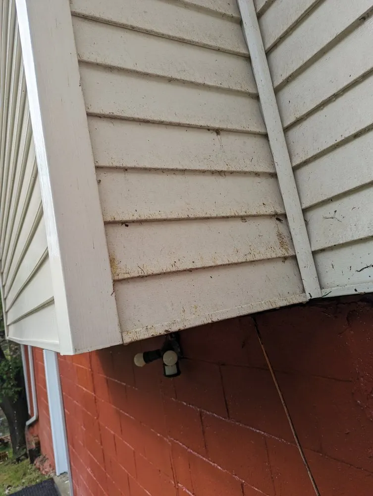 Trusted outdoor landscaping experts serving Big Stone Gap, VA - C&L Lawn Care And Pressure Washing