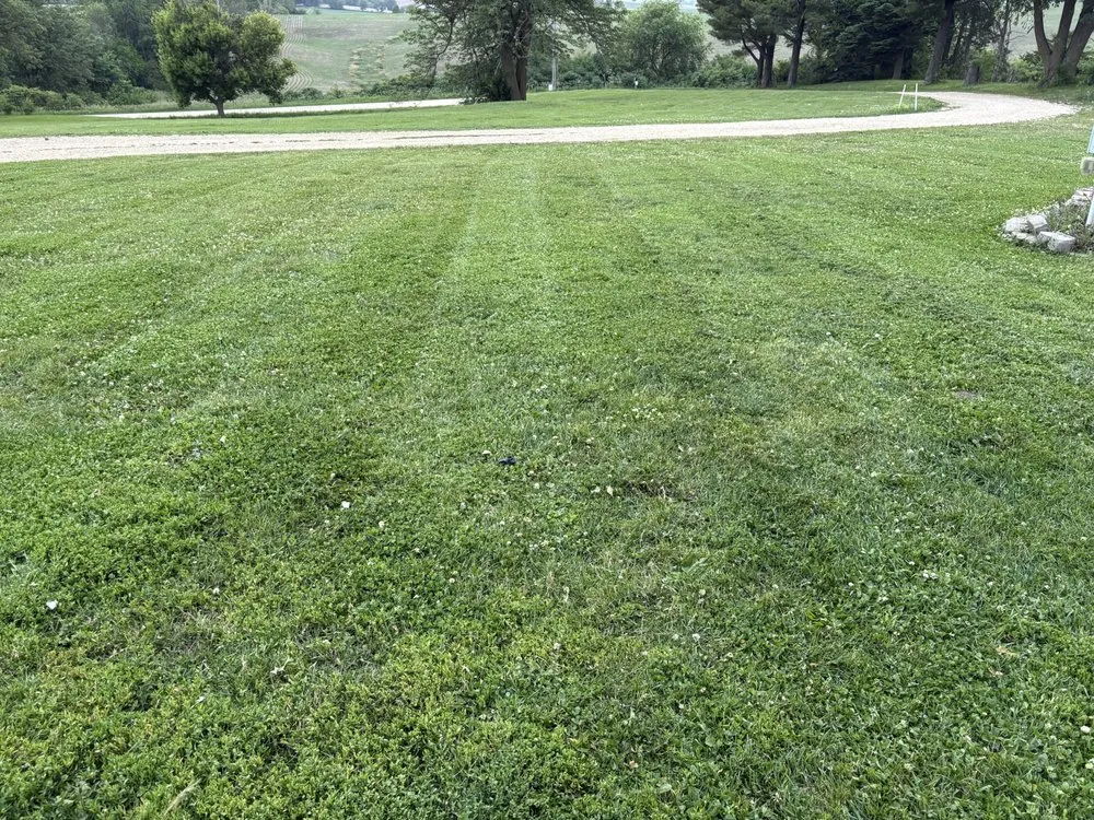 Local landscape installation in Delmar, IA by Cl Lawn Care