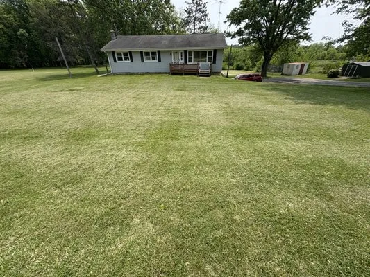 Cl Lawn Care