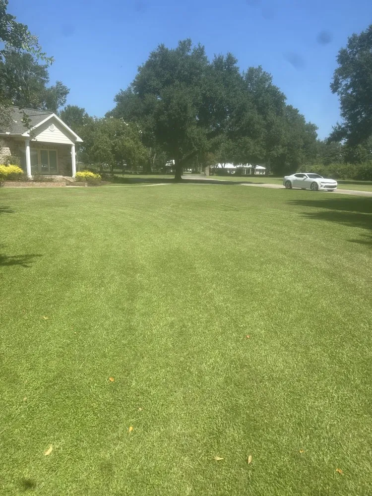 Professional landscape design in Carencro, LA - C&L Mowing