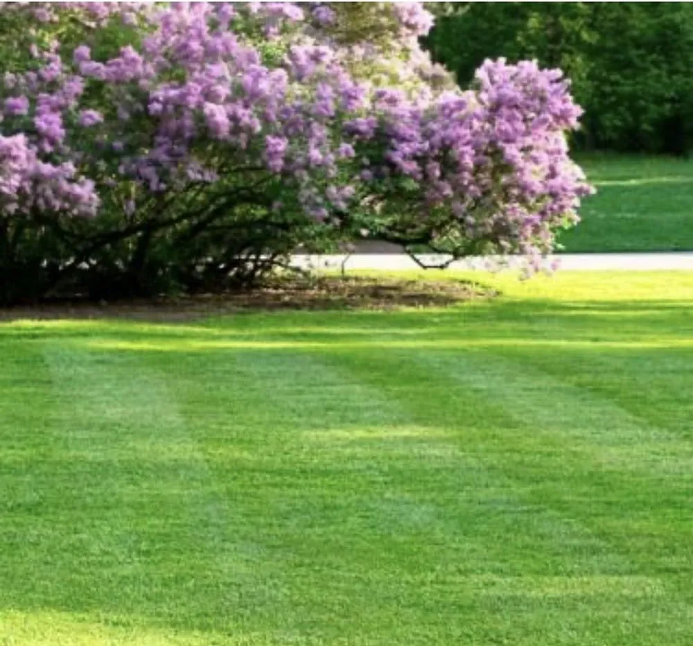 Expert landscape installation for year-round maintenance across Carencro, LA - C&L Mowing