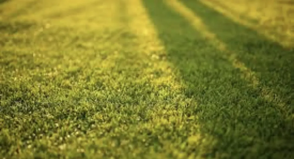 Custom outdoor landscaping for residential properties in Carencro, LA by C&L Mowing