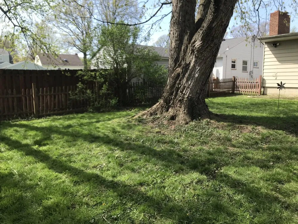 Expert yard cleanup service experts serving Boardman, OH - C&L Pro Lawn Care