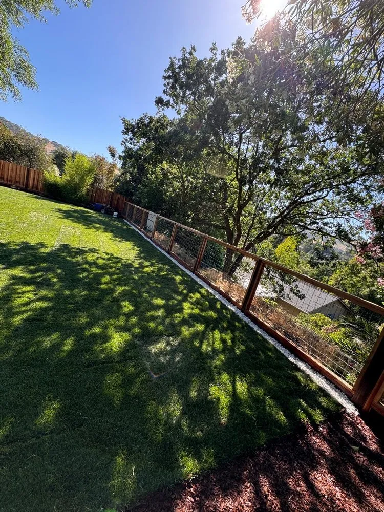 Expert yard cleanup service experts serving Pleasant Hill, CA - Cl Tree Service