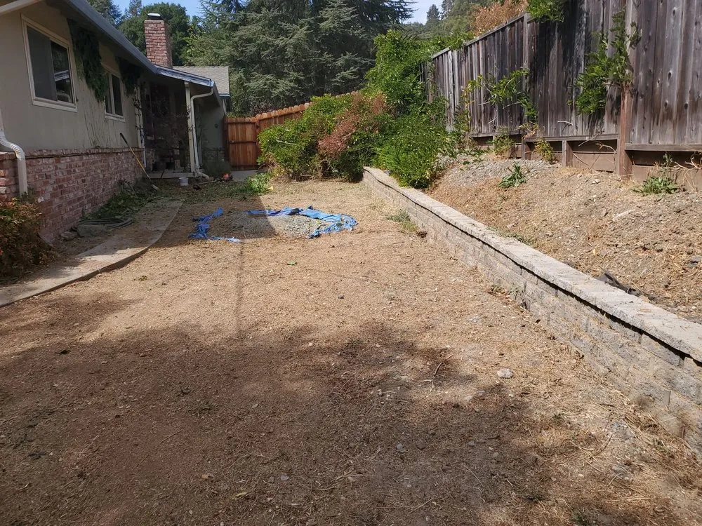 Reliable landscape installation for homes across Pleasant Hill, CA - Cl Tree Service