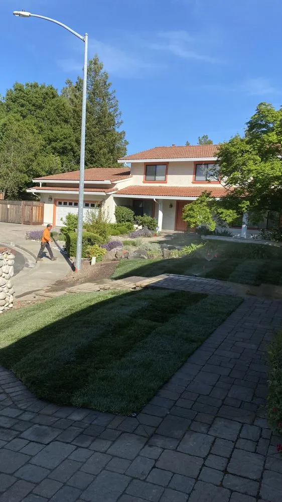 Custom landscaping services in Pleasant Hill, CA - Cl Tree Service