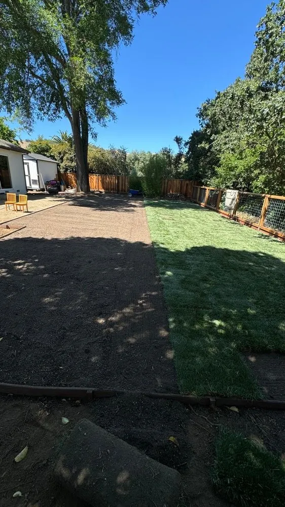 Reliable landscaping services for outdoor upgrades in Pleasant Hill, CA by Cl Tree Service