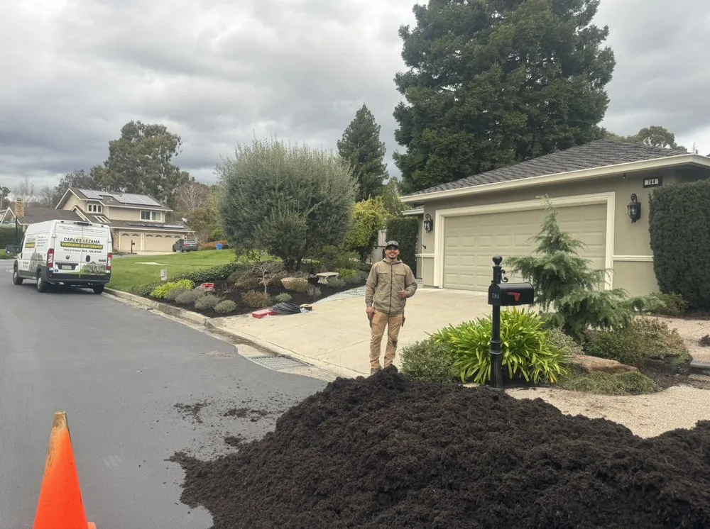 Professional residential landscaping for beautiful yards across Pleasant Hill, CA - Cl Tree Service