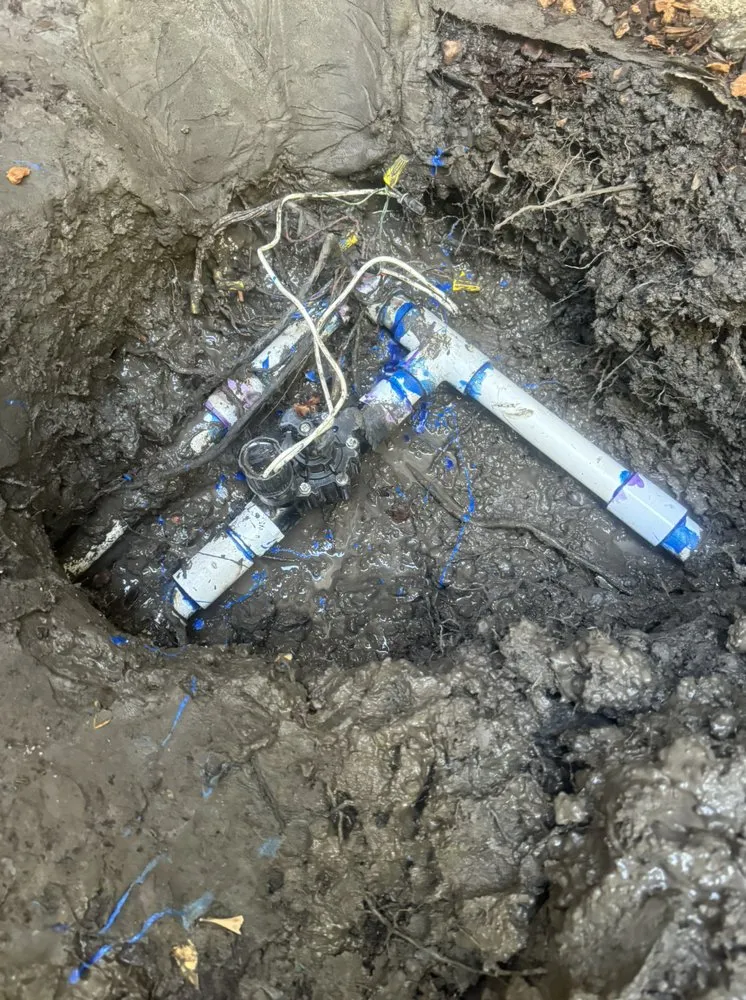 Affordable landscape design with custom design across Pleasant Hill, CA - Cl Tree Service