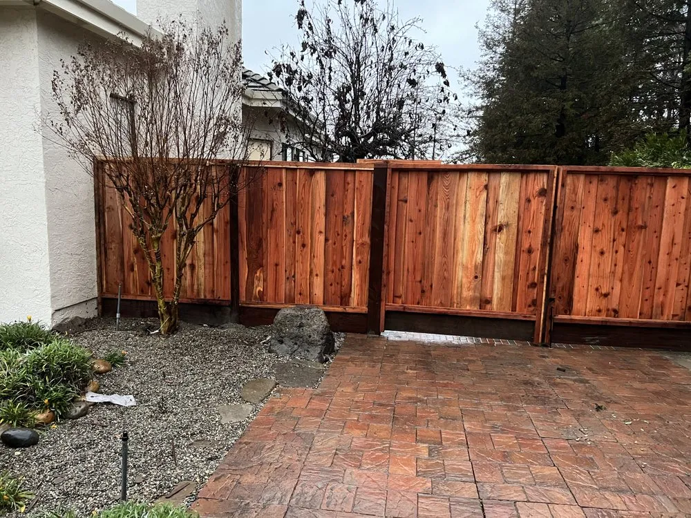 Trusted yard cleanup service for homes across Pleasant Hill, CA - Cl Tree Service