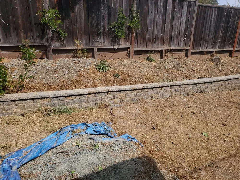 Local yard maintenance in Pleasant Hill, CA by Cl Tree Service