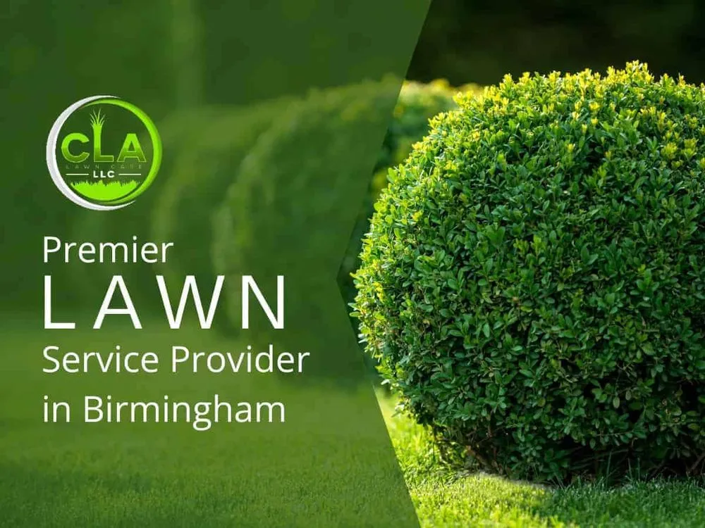 Top-rated landscaping services for outdoor upgrades across Bessemer, AL - CLA Lawncare