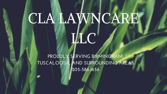 Affordable yard maintenance near you across Bessemer, AL - CLA Lawncare