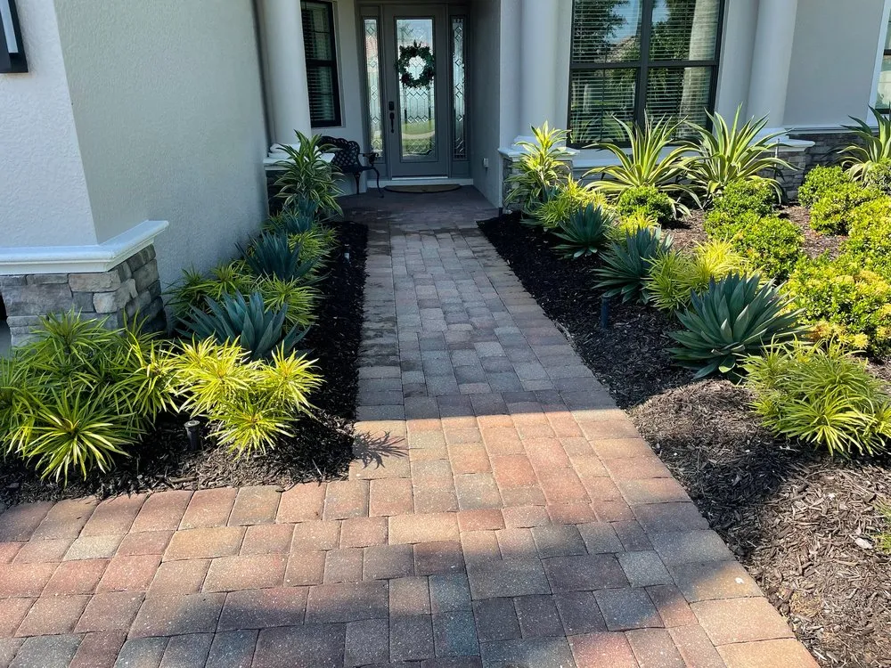 Trusted yard maintenance experts serving Naples, FL - Clad Estate Services