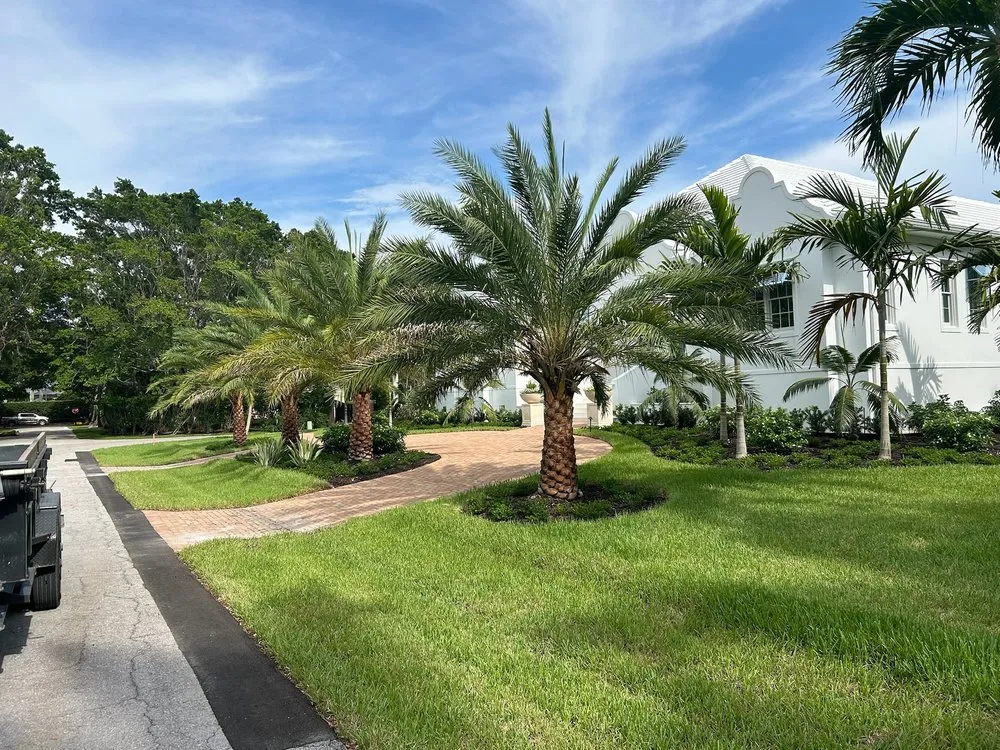 Local residential landscaping experts serving Naples, FL - Clad Estate Services