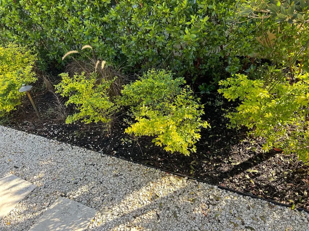 Top-rated residential landscaping for homes across Naples, FL - Clad Estate Services