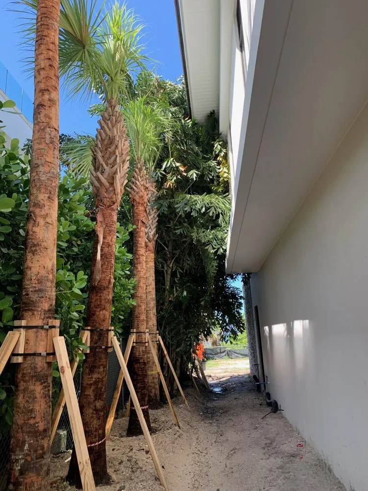 Trusted garden landscaping for homes across Naples, FL - Clad Estate Services