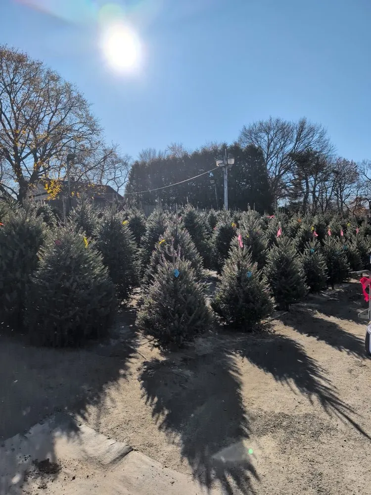 Top-rated yard cleanup service in Dix Hills, NY by Claiborne Garden Center