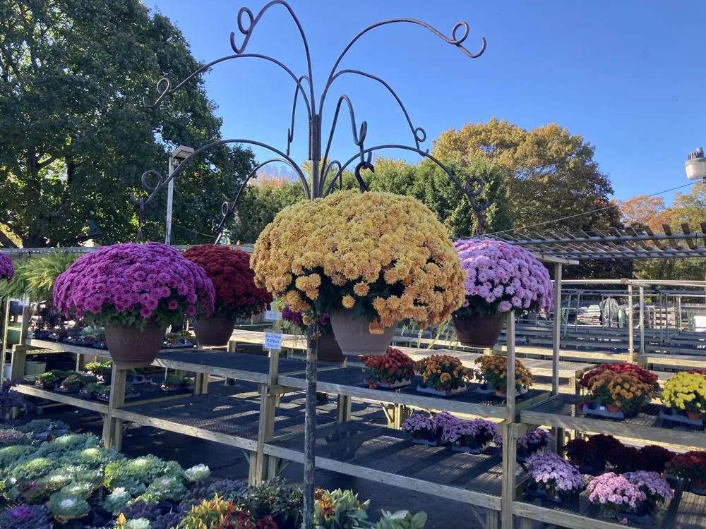 Affordable outdoor landscaping in Dix Hills, NY - Claiborne Garden Center