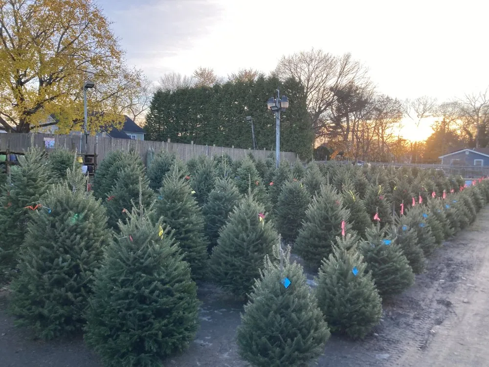 Local landscaping services with custom design across Dix Hills, NY - Claiborne Garden Center