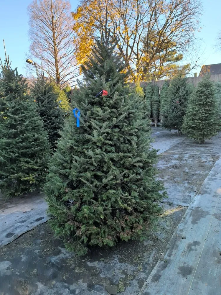 Affordable garden landscaping for homes across Dix Hills, NY - Claiborne Garden Center