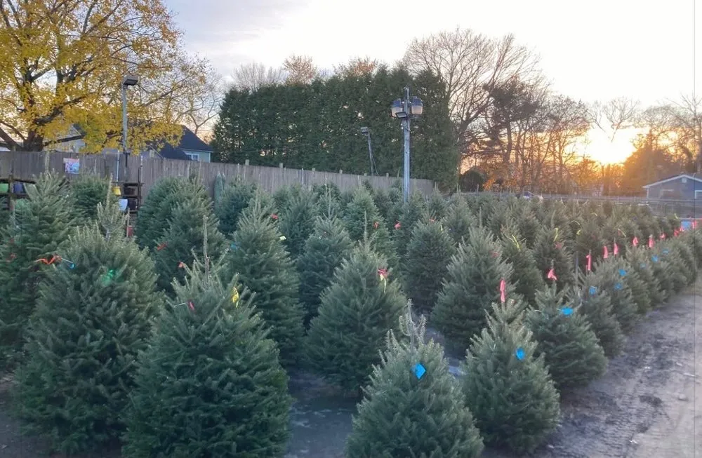 Custom landscape installation experts serving Dix Hills, NY - Claiborne Garden Center