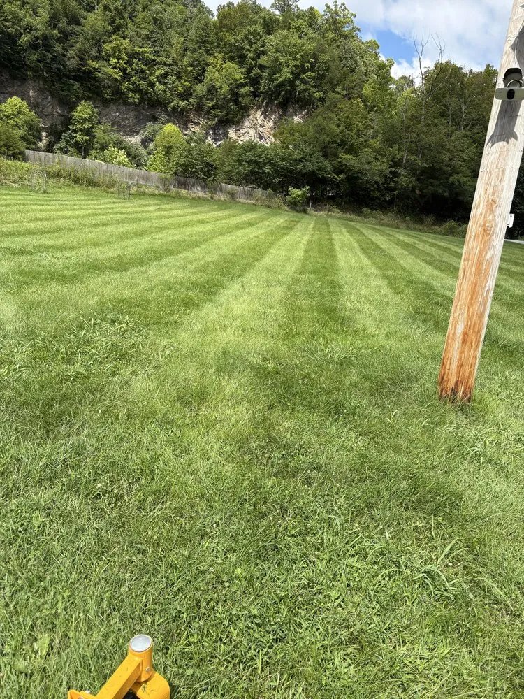 Custom residential landscaping for year-round maintenance in Blountville, TN by Clamon Lawn Care
