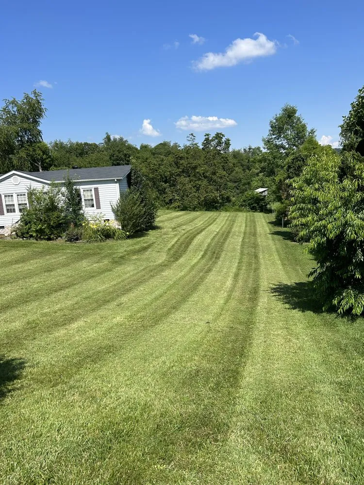 Trusted yard maintenance for beautiful yards in Blountville, TN by Clamon Lawn Care