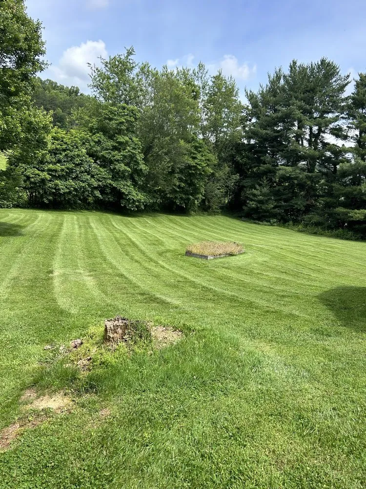 Top-rated lawn care service for homes in Blountville, TN by Clamon Lawn Care