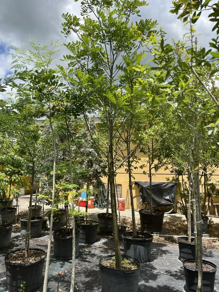 Top-rated lawn care service for homes across Miami, FL - Clane Landscaping Construction Inc.