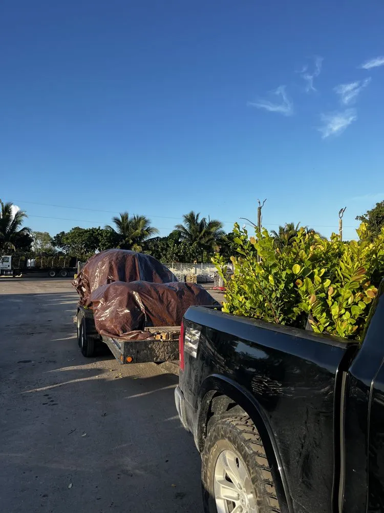 Custom landscape installation in Miami, FL - Clane Landscaping Construction Inc.