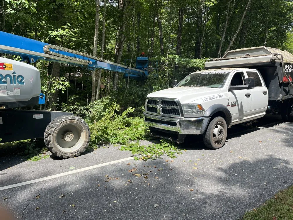 Expert outdoor landscaping for homes in Miami, FL by Clane Landscaping Construction Inc.