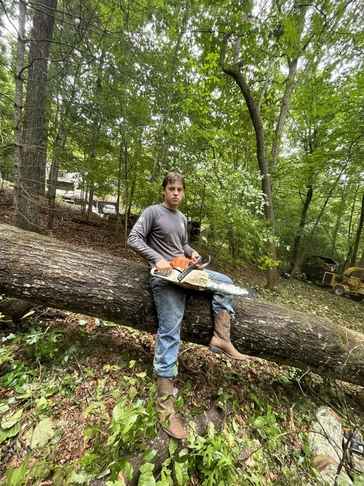 Local garden landscaping in Miami, FL by Clane Landscaping Construction Inc.