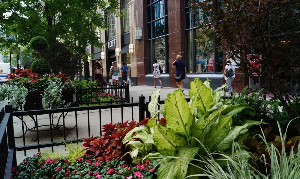 Reliable landscape design for homes in Matteson, IL by Clarence Davids & Company