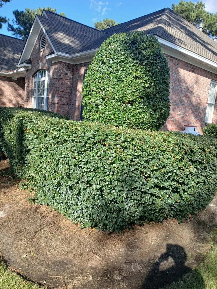 Reliable outdoor landscaping for beautiful yards in Leland, NC by Clarida's Cleaning and Hauling Services