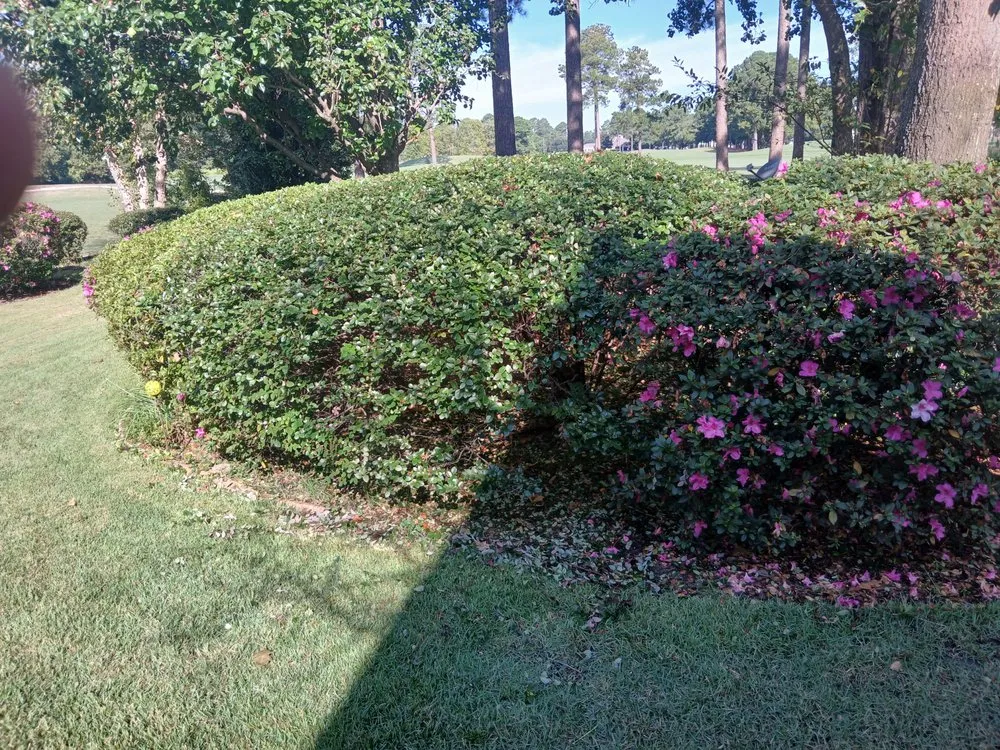 Custom lawn mowing service in Leland, NC by Clarida's Cleaning and Hauling Services