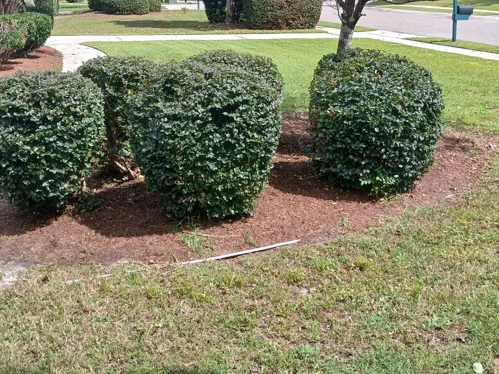 Affordable garden landscaping experts serving Leland, NC - Clarida's Cleaning and Hauling Services