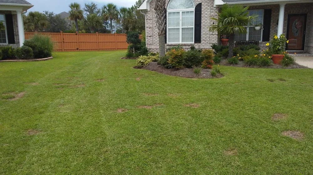 Local residential landscaping experts serving Leland, NC - Clarida's Cleaning and Hauling Services