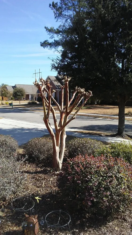 Affordable garden landscaping for homes across Leland, NC - Clarida's Cleaning and Hauling Services