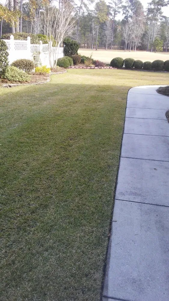 Trusted yard maintenance in Leland, NC - Clarida's Cleaning and Hauling Services