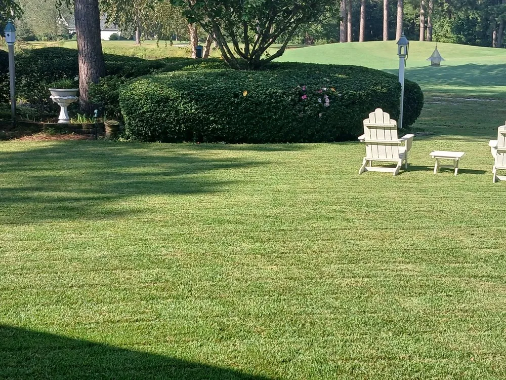 Trusted yard cleanup service near you in Leland, NC by Clarida's Cleaning and Hauling Services