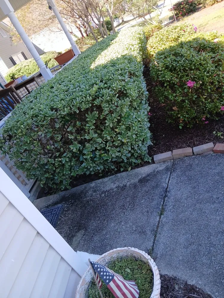 Expert landscape design near you in Leland, NC by Clarida's Cleaning and Hauling Services