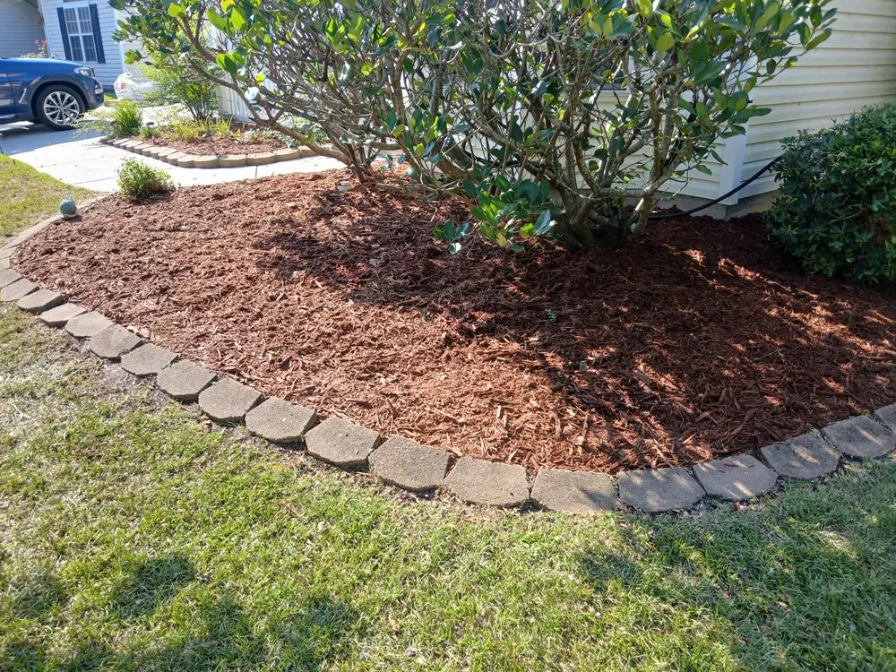 Affordable yard cleanup service in Leland, NC - Clarida's Cleaning and Hauling Services